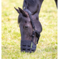 Shires Shires - FreeGraze Comfort Grazing Muzzle - Pony