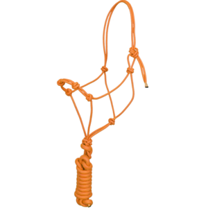 Shiloh Shiloh - Four Knot Training Rope Halter w/ 10' Removeable Lead (One Size) - Orange