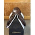 Bates T496 - Used Bates Caprilli Close Contact w/ Luxe Leather - 17" Forward/Long Flap