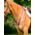 Collegiate - Comfitec Opulux 3-Point Raised Breastplate - Full