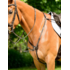 Collegiate - Comfitec Opulux 3-Point Raised Breastplate - Full