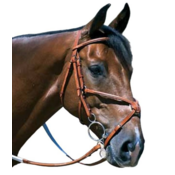 Edgewood - Figure 8 Fancy Raised Padded Noseband - Full