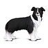 Breyer Breyer CollectA - Border Collie