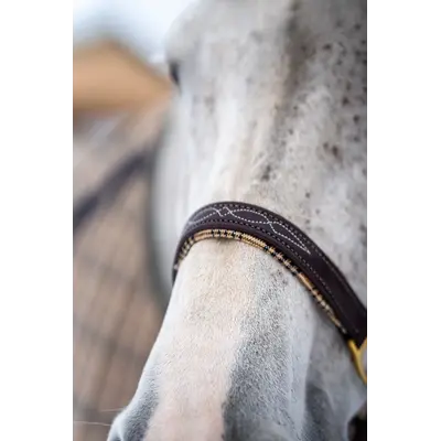 5/A Baker 5/A Baker - Signature Leather Halter - Havana w/ White Fancy Stitching - Horse