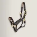5/A Baker 5/A Baker - Signature Leather Halter - Havana w/ White Fancy Stitching - Horse