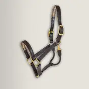 5/A Baker 5/A Baker - Signature Leather Halter - Havana w/ White Fancy Stitching - Horse