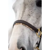 5/A Baker 5/A Baker - Signature Leather Halter - Havana w/ Brown Fancy Stitching - Horse