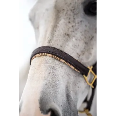 5/A Baker 5/A Baker - Signature Leather Halter - Havana w/ Brown Fancy Stitching - Horse
