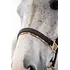 5/A Baker 5/A Baker - Signature Leather Halter - Havana w/ Brown Fancy Stitching - Horse