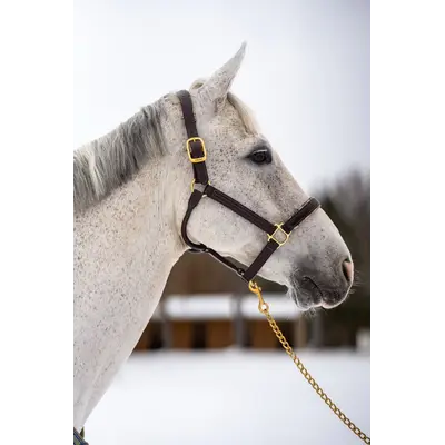 5/A Baker 5/A Baker - Signature Leather Halter - Havana w/ Brown Fancy Stitching - Horse