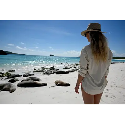70 Degrees 70° - Safari 2.0 - Sand
