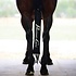 Professional's Choice - Deluxe Tail Bag