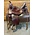Used Tucker Buffalo Trail 16.5" W