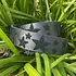 The Kenyan Collection TKC - Black Stars Belt in Wide Width - Brass Buckle