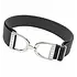 Hutson x Ellany Ellany - Smoke - 1.5" Silver Stirrup Elastic Belt