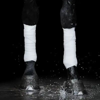 Incrediwear Equine Incrediwear Equine - Circulation Exercise Bandages - White