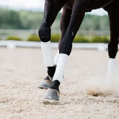 Incrediwear Equine Incrediwear Equine - Circulation Exercise Bandages - White