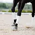 Incrediwear Equine Incrediwear Equine - Circulation Exercise Bandages - White