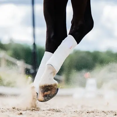 Incrediwear Equine Incrediwear Equine - Circulation Exercise Bandages - White