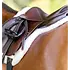 EquiFit - Essential Hunter Pad