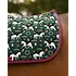 Dreamers & Schemers D&S - The Pony Island Lippizan Horses Saddle Pad