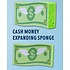 Dreamers & Schemers D&S - Bath Sponge - Cash Money