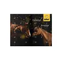 Effax/Effol Effol/Effax - Advent Calendar 2026