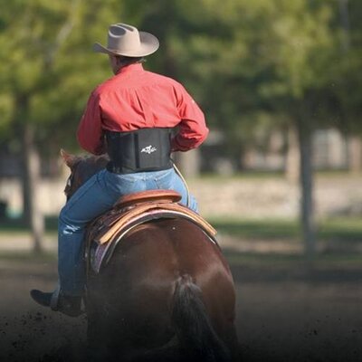 Professional's Choice - Back Support - Large
