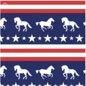 Ovation Ovation - Womens FootZees Boot Sock - Stars, Stripes, Horses
