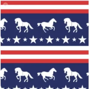 Ovation Ovation - Womens FootZees Boot Sock - Stars, Stripes, Horses