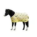 Saxon - Pony Standard Neck Medium Blanket - 600 Denier