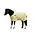 Saxon - Pony Standard Neck Medium Blanket - 600 Denier
