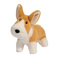 Douglas Douglas - Carl Corgi Muzzle