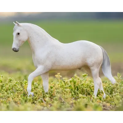 Breyer Breyer - Caprechio del Richuelo
