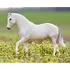 Breyer Breyer - Caprechio del Richuelo