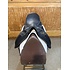 Used Devoucoux Malkia Lab Dressage Saddle w/ Blue Piping - 18.5"