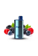 Pop Pop Palm 7000 Disposable Device (16mL)