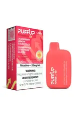 PuffUP PuffUP Power Up 5K Disposable Device (10mL)