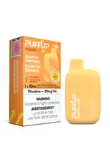 PuffUP PuffUP Power Up 5K Disposable Device (10mL)