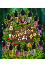 12 Monkeys Twelve Monkeys | Salt Nic  (30mL)
