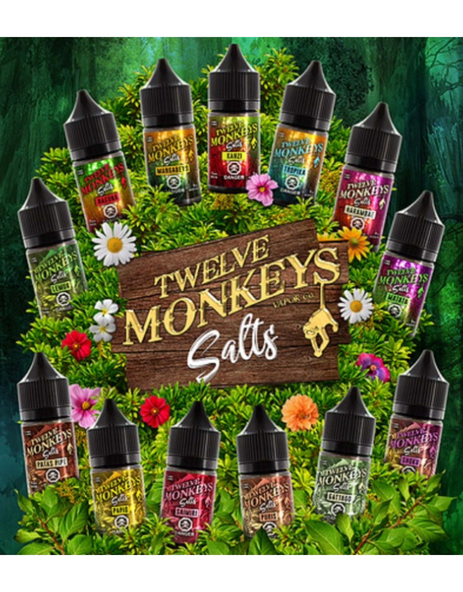 12 Monkeys Twelve Monkeys | Salt Nic  (30mL)