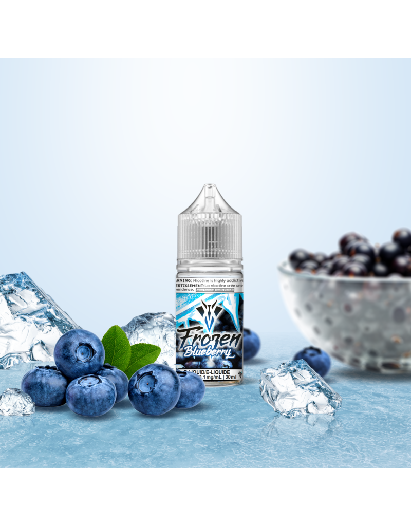 VanGo VanGo Frozen E-juice | Salt Nic (30mL)