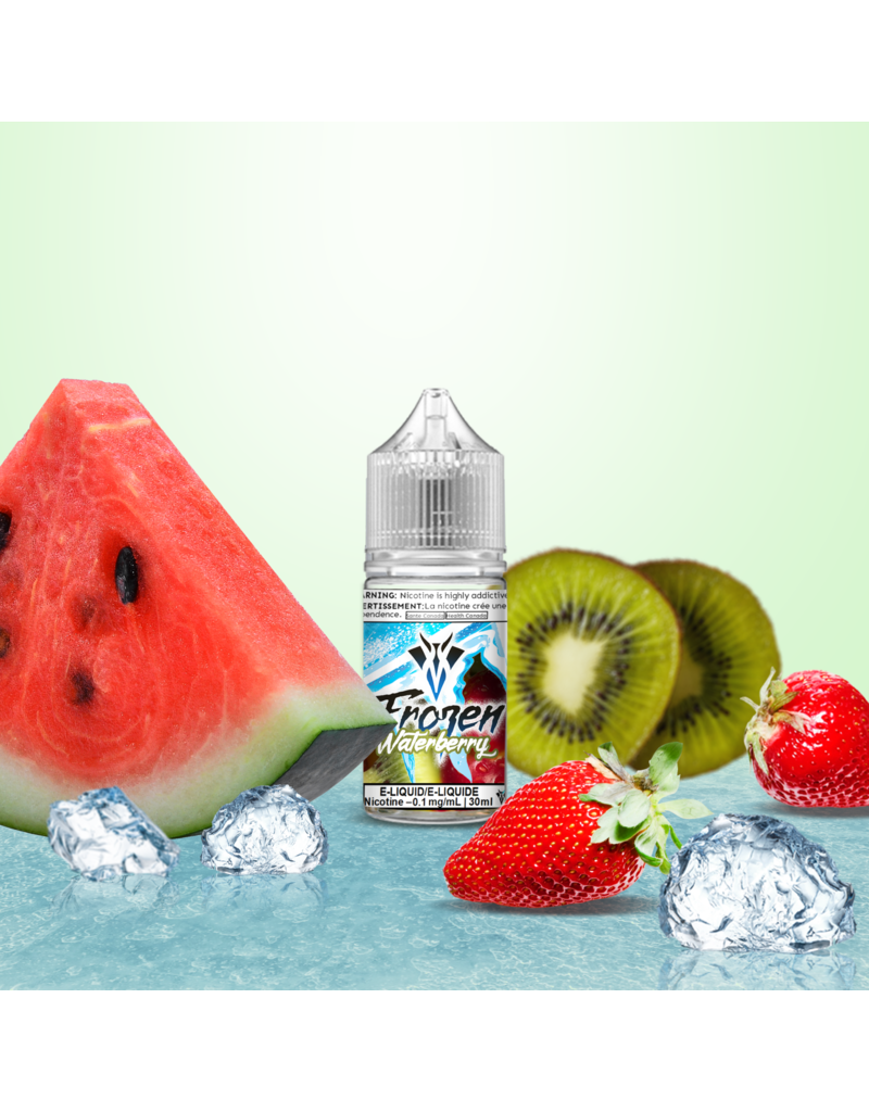 VanGo VanGo Frozen E-juice | Salt Nic (30mL)