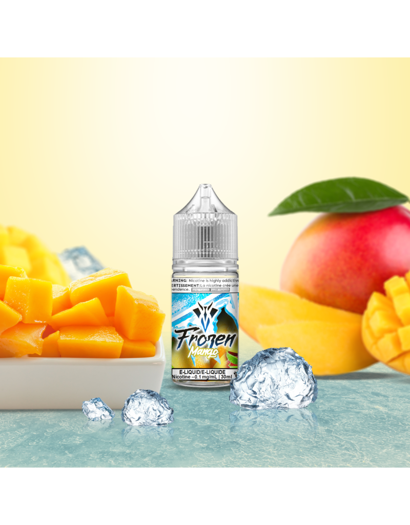 VanGo VanGo Frozen E-juice | Salt Nic (30mL)