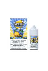 Mr Fog Mr Fog E-Juice | Salt Nic (30mL)