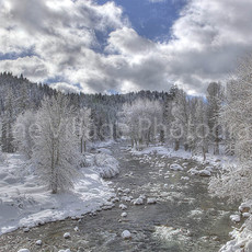 Truckee River Spring
