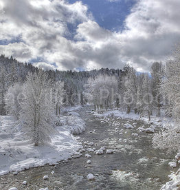 Truckee River Spring