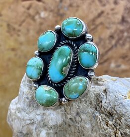Rio Grande Wholesale 7 Stone Sonoran Turquoise ring - 8