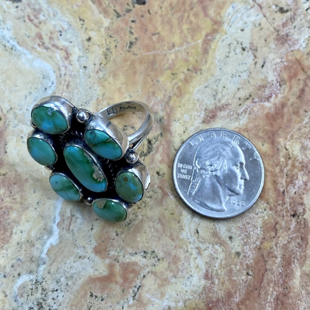 Rio Grande Wholesale 7 Stone Sonoran Turquoise ring - 8