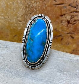 Bluebird Turquoise Ring - 7.5